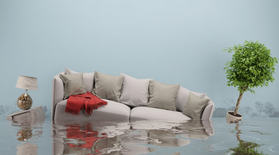 flooding living room